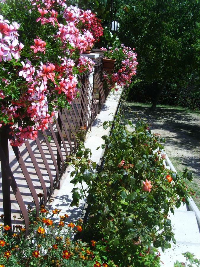 Casa Lieta Bed & Breakfast Subiaco Dış mekan fotoğraf